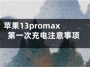 蘋果13promax第一次充電注意事項(xiàng)