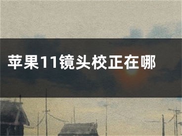 蘋果11鏡頭校正在哪