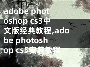 adobe photoshop cs3中文版經(jīng)典教程,adobe photoshop cs5安裝教程