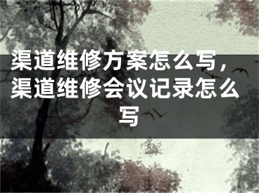 渠道維修方案怎么寫，渠道維修會(huì)議記錄怎么寫