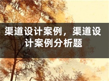 渠道設(shè)計(jì)案例，渠道設(shè)計(jì)案例分析題