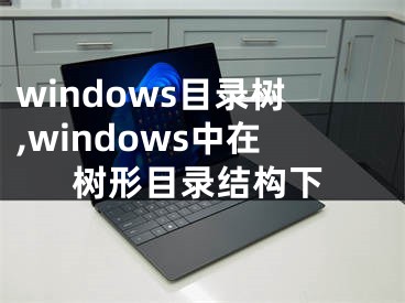 windows目錄樹,windows中在樹形目錄結(jié)構(gòu)下