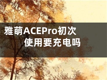 雅萌ACEPro初次使用要充電嗎