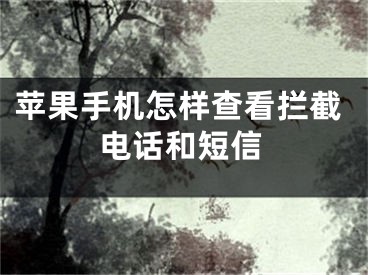 蘋果手機怎樣查看攔截電話和短信