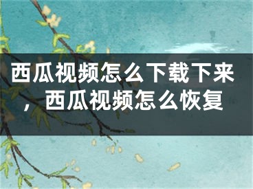 西瓜視頻怎么下載下來，西瓜視頻怎么恢復(fù)