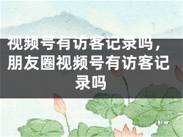 視頻號有訪客記錄嗎，朋友圈視頻號有訪客記錄嗎