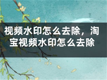 視頻水印怎么去除，淘寶視頻水印怎么去除