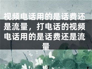 視頻電話用的是話費(fèi)還是流量，打電話的視頻電話用的是話費(fèi)還是流量