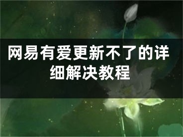 網(wǎng)易有愛更新不了的詳細解決教程