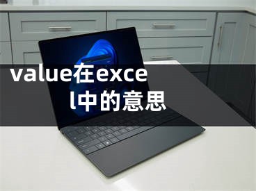 value在excel中的意思