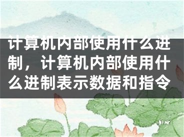 計(jì)算機(jī)內(nèi)部使用什么進(jìn)制，計(jì)算機(jī)內(nèi)部使用什么進(jìn)制表示數(shù)據(jù)和指令