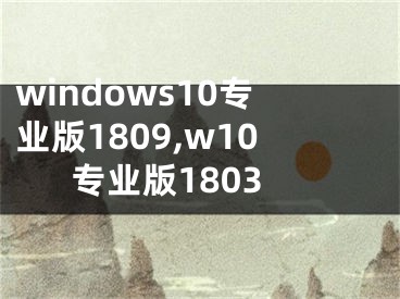 windows10專業(yè)版1809,w10專業(yè)版1803