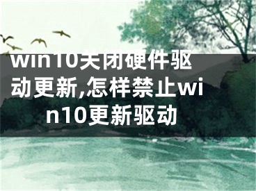 win10關(guān)閉硬件驅(qū)動(dòng)更新,怎樣禁止win10更新驅(qū)動(dòng)