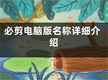 必剪電腦版名稱詳細介紹