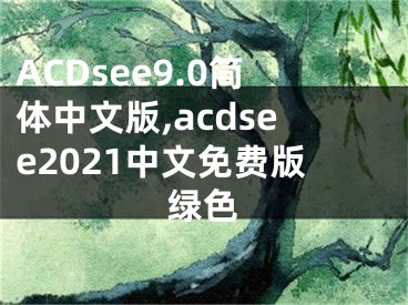 ACDsee9.0簡(jiǎn)體中文版,acdsee2021中文免費(fèi)版綠色