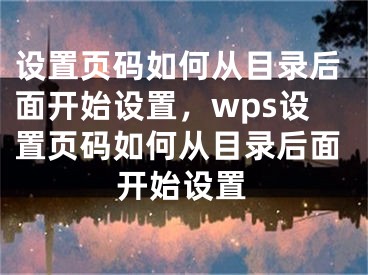 設(shè)置頁(yè)碼如何從目錄后面開(kāi)始設(shè)置，wps設(shè)置頁(yè)碼如何從目錄后面開(kāi)始設(shè)置