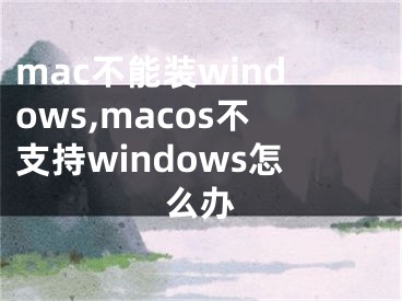 mac不能裝windows,macos不支持windows怎么辦