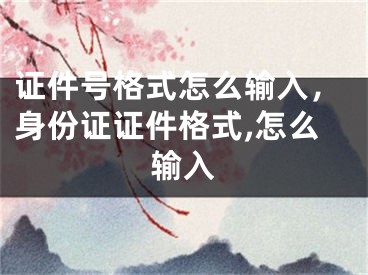 證件號(hào)格式怎么輸入，身份證證件格式,怎么輸入