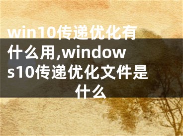 win10傳遞優(yōu)化有什么用,windows10傳遞優(yōu)化文件是什么