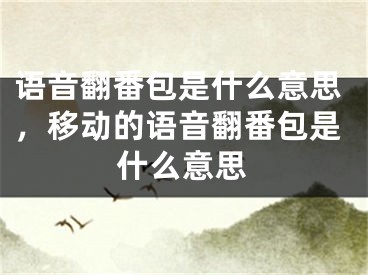 語音翻番包是什么意思，移動的語音翻番包是什么意思