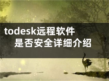 todesk遠(yuǎn)程軟件是否安全詳細(xì)介紹