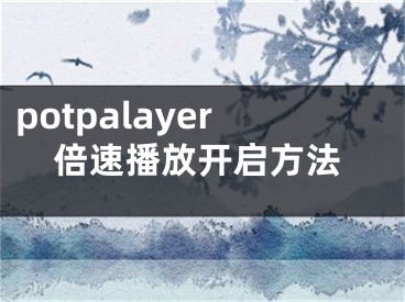 potpalayer倍速播放開啟方法