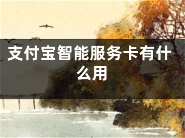 支付寶智能服務(wù)卡有什么用