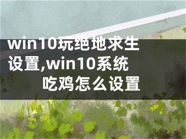 win10玩絕地求生設(shè)置,win10系統(tǒng)吃雞怎么設(shè)置