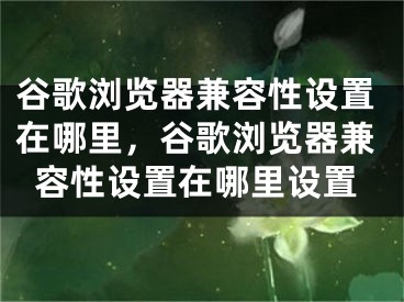 谷歌瀏覽器兼容性設(shè)置在哪里，谷歌瀏覽器兼容性設(shè)置在哪里設(shè)置