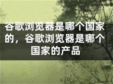 谷歌瀏覽器是哪個(gè)國(guó)家的，谷歌瀏覽器是哪個(gè)國(guó)家的產(chǎn)品