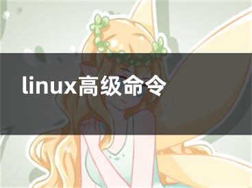 linux高級命令