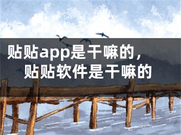 貼貼app是干嘛的，貼貼軟件是干嘛的