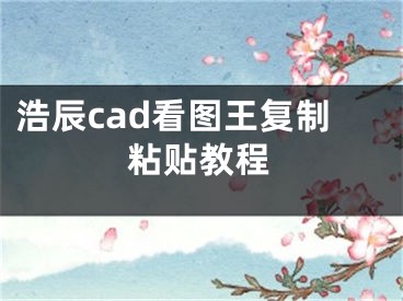 浩辰cad看圖王復(fù)制粘貼教程