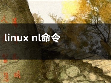 linux nl命令