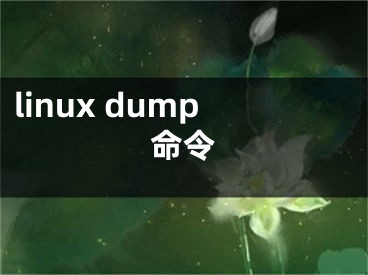 linux dump命令