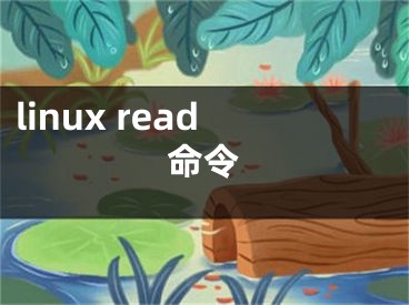 linux read命令