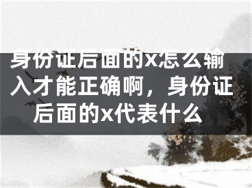 身份證后面的x怎么輸入才能正確啊，身份證后面的x代表什么