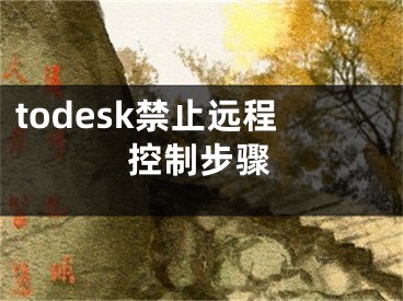 todesk禁止遠(yuǎn)程控制步驟