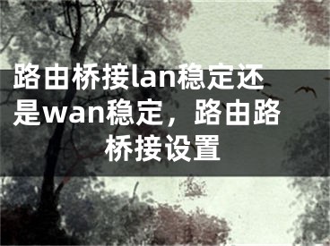 路由橋接lan穩(wěn)定還是wan穩(wěn)定，路由路橋接設置