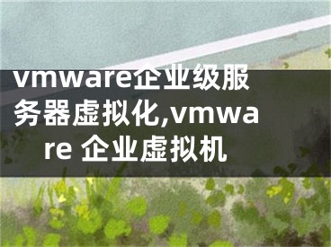 vmware企業(yè)級(jí)服務(wù)器虛擬化,vmware 企業(yè)虛擬機(jī)