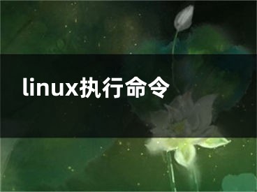 linux執(zhí)行命令