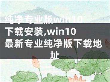 純凈專業(yè)版win10下載安裝,win10最新專業(yè)純凈版下載地址