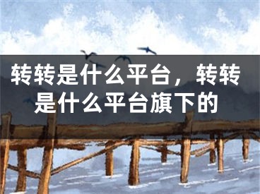 轉(zhuǎn)轉(zhuǎn)是什么平臺(tái)，轉(zhuǎn)轉(zhuǎn)是什么平臺(tái)旗下的