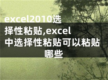 excel2010選擇性粘貼,excel中選擇性粘貼可以粘貼哪些