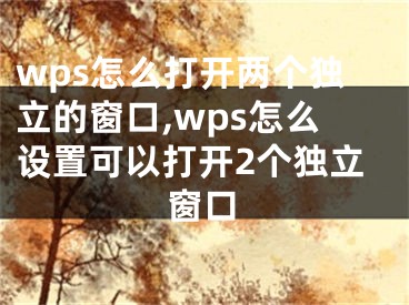 wps怎么打開兩個(gè)獨(dú)立的窗口,wps怎么設(shè)置可以打開2個(gè)獨(dú)立窗口