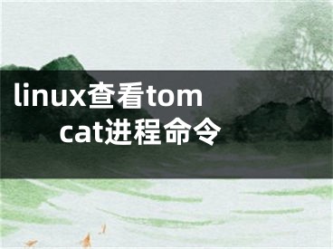 linux查看tomcat進(jìn)程命令