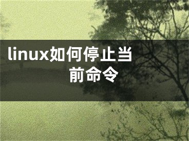 linux如何停止當(dāng)前命令