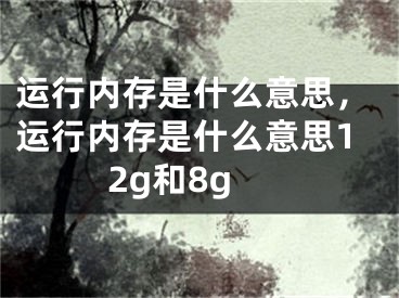 運(yùn)行內(nèi)存是什么意思，運(yùn)行內(nèi)存是什么意思12g和8g