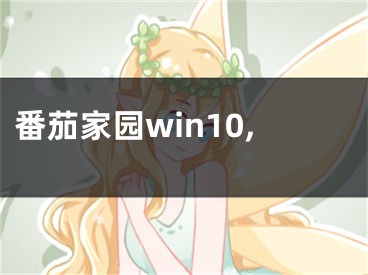 番茄家園win10,