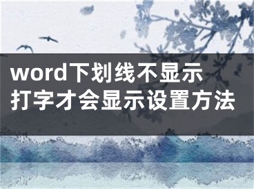 word下劃線不顯示打字才會顯示設(shè)置方法